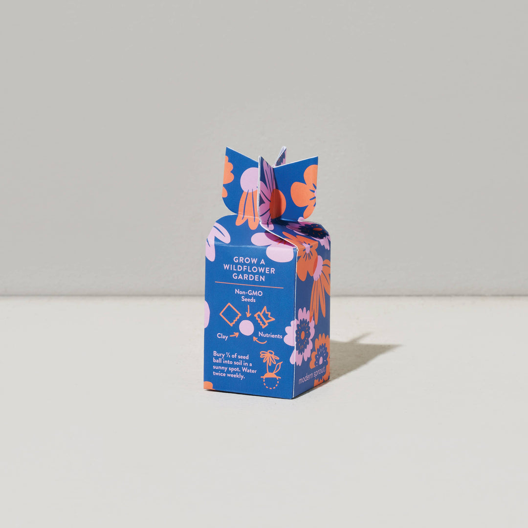 Seed Bomb : Well Being Boost