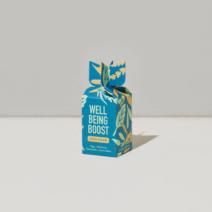 Seed Bomb : Well Being Boost