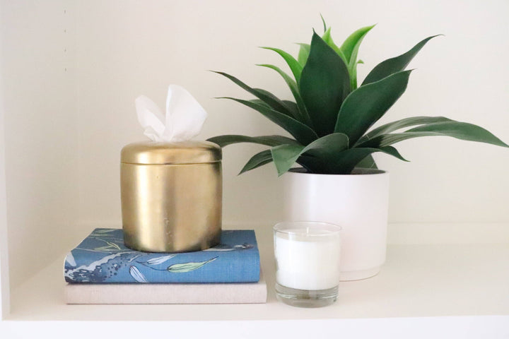 House of Happy- The Coco Tissue Vessel - Pine & Moss