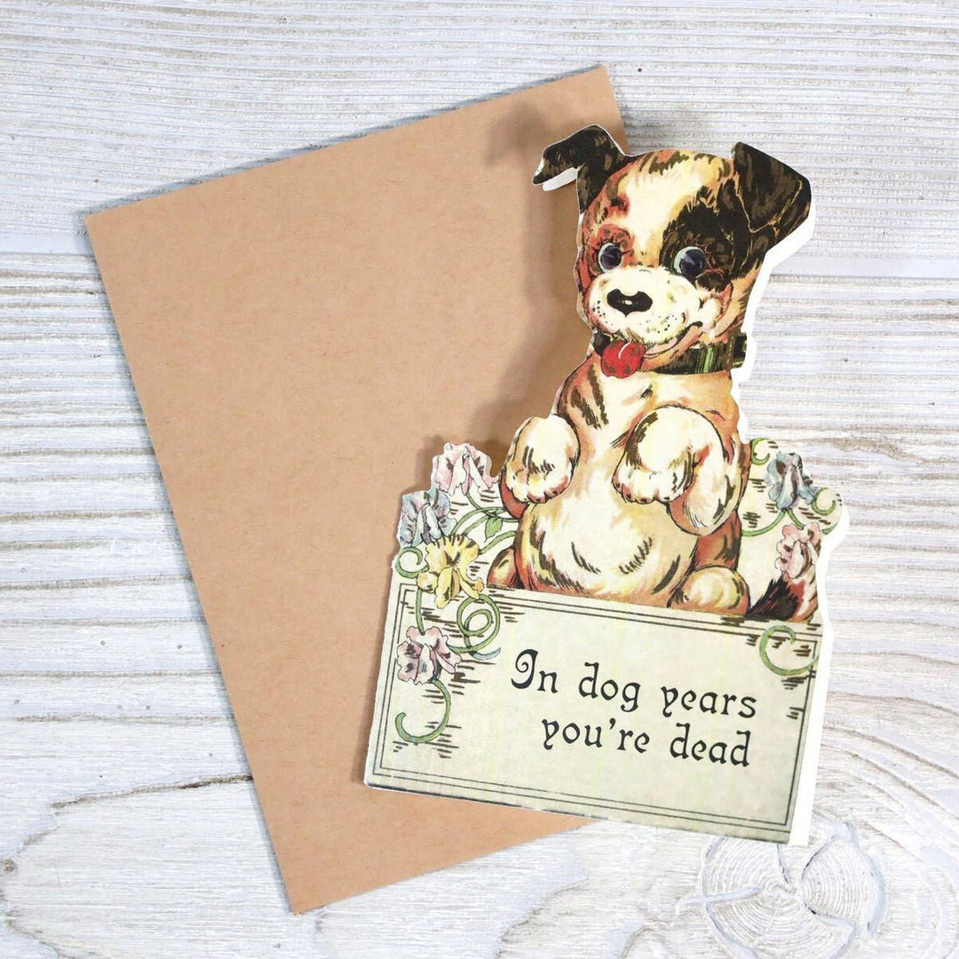 In Dog Years You're Dead - Funny Vintage Style Birthday Card - Pine & Moss