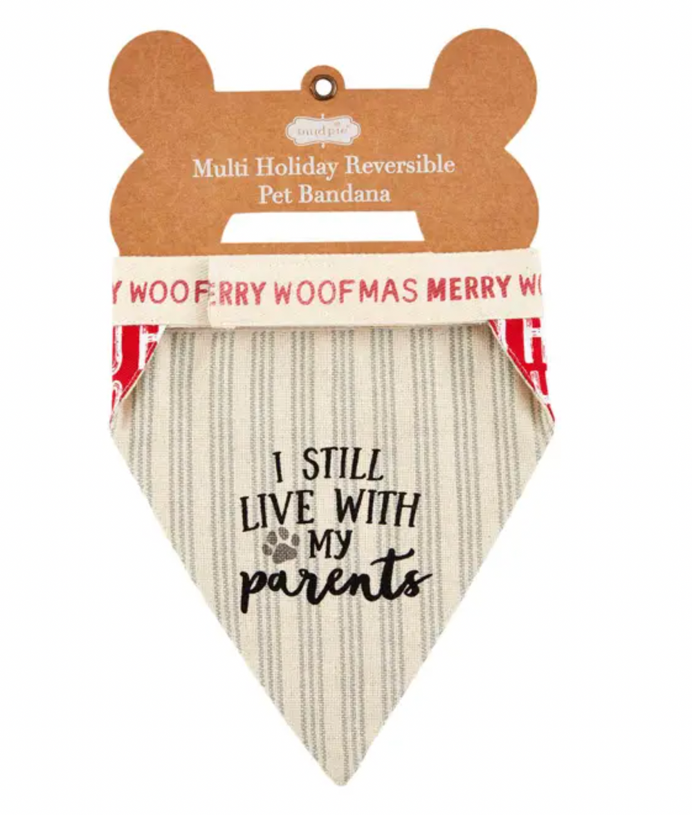 Favorite Pup Reversible Pet Bandana - Pine & Moss