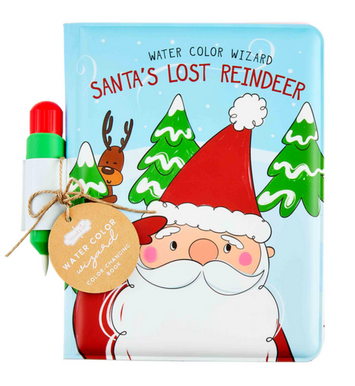 Water-Color Wizard Santa Book