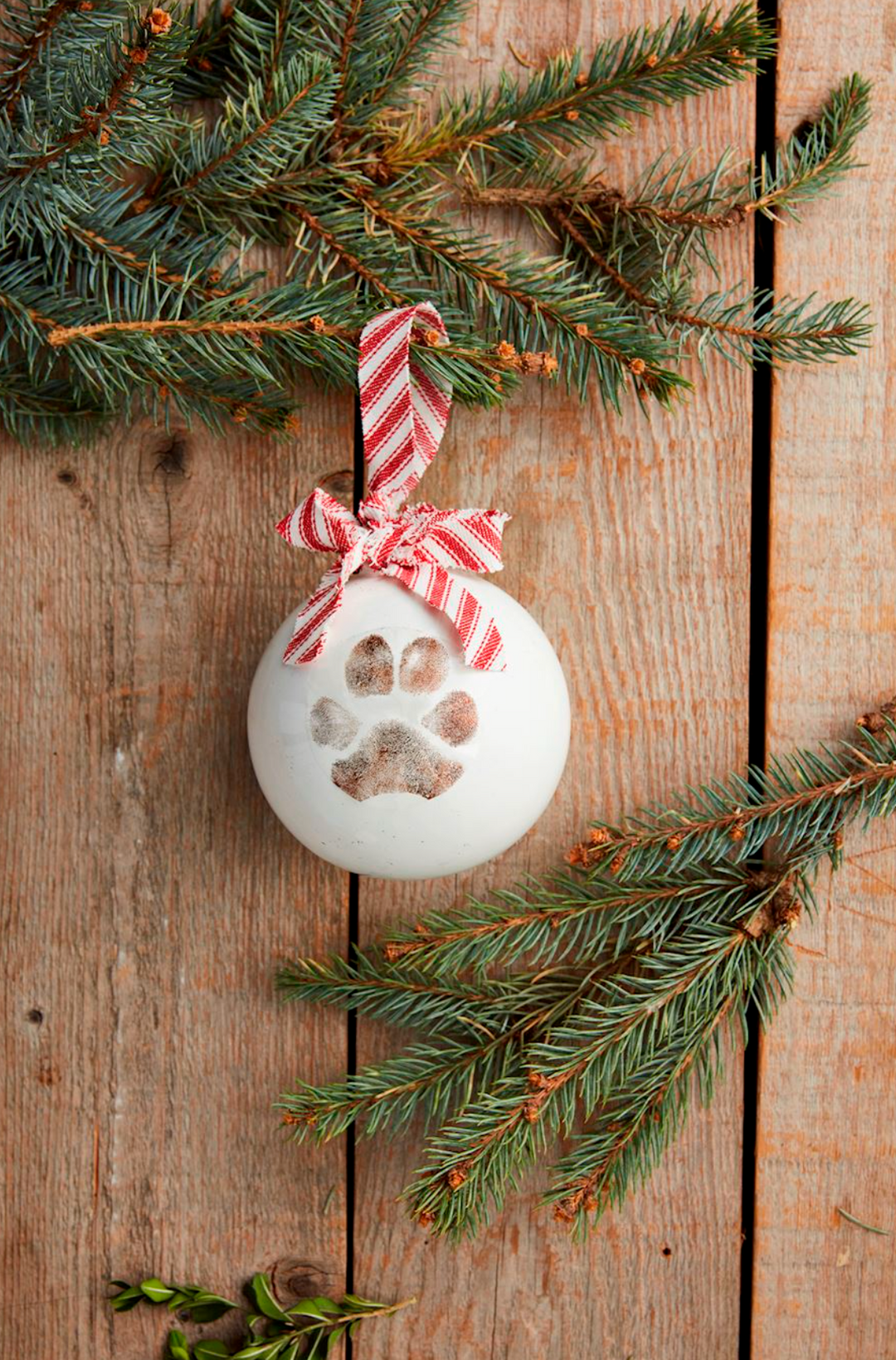 Pet Xmas Print Ornament