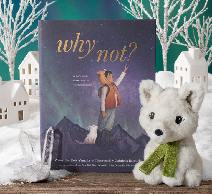 Why Not Book & Plush (sold seperately)