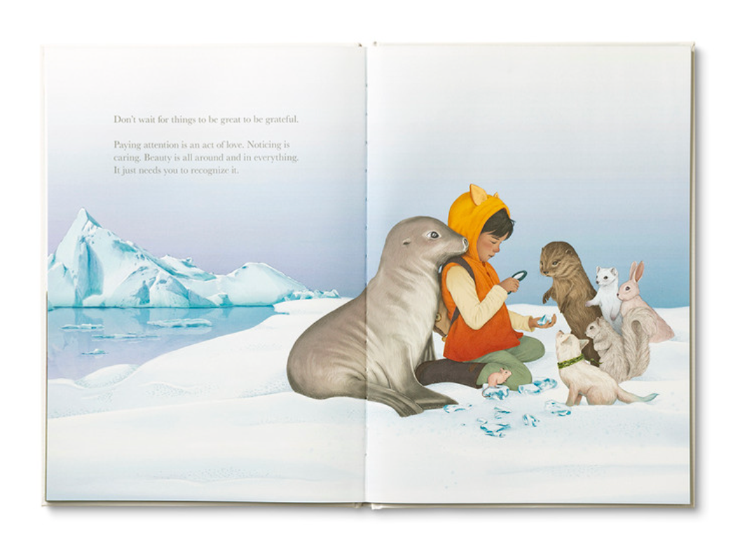 Why Not Book & Plush (sold seperately)