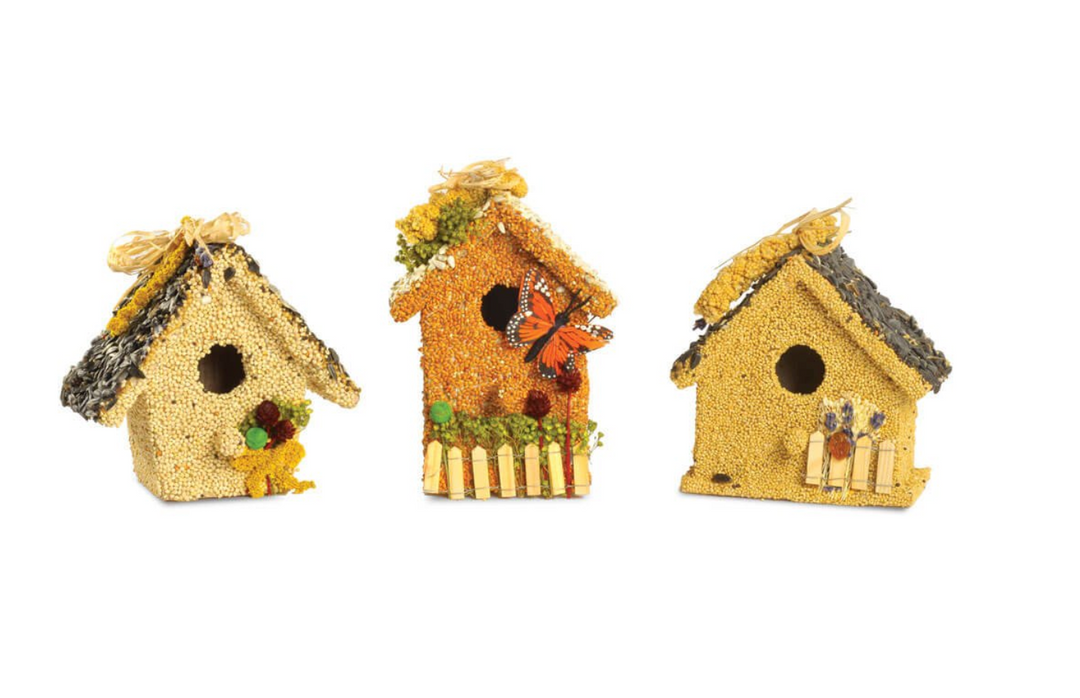 Spring Fruit Bird Feed Cottages - Pine &amp; Moss