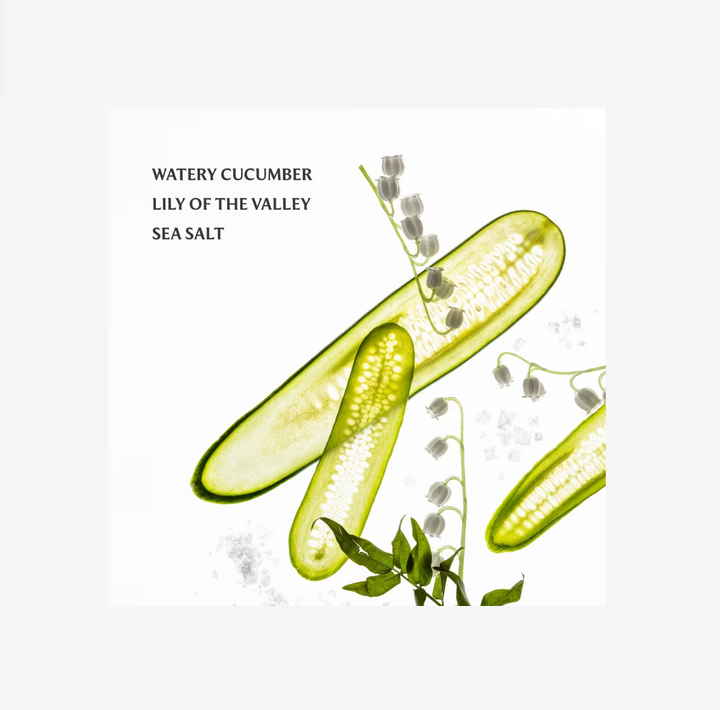 Lily of The Valley Gentle Mist Hand Sanitizer - Pine &amp; Moss
