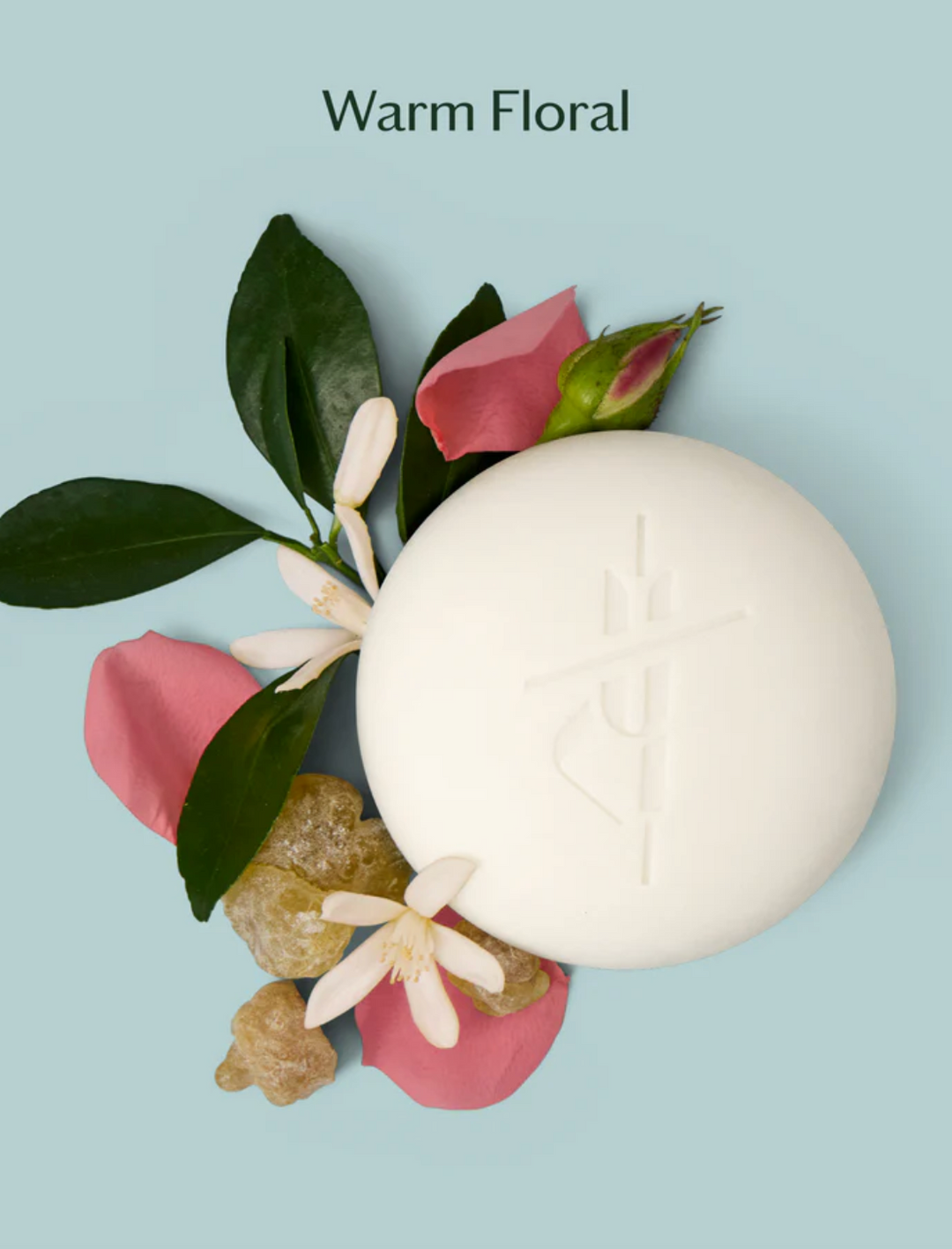 Daily Stone | Deep Moisturizing Lotion Bar- Starter Kit