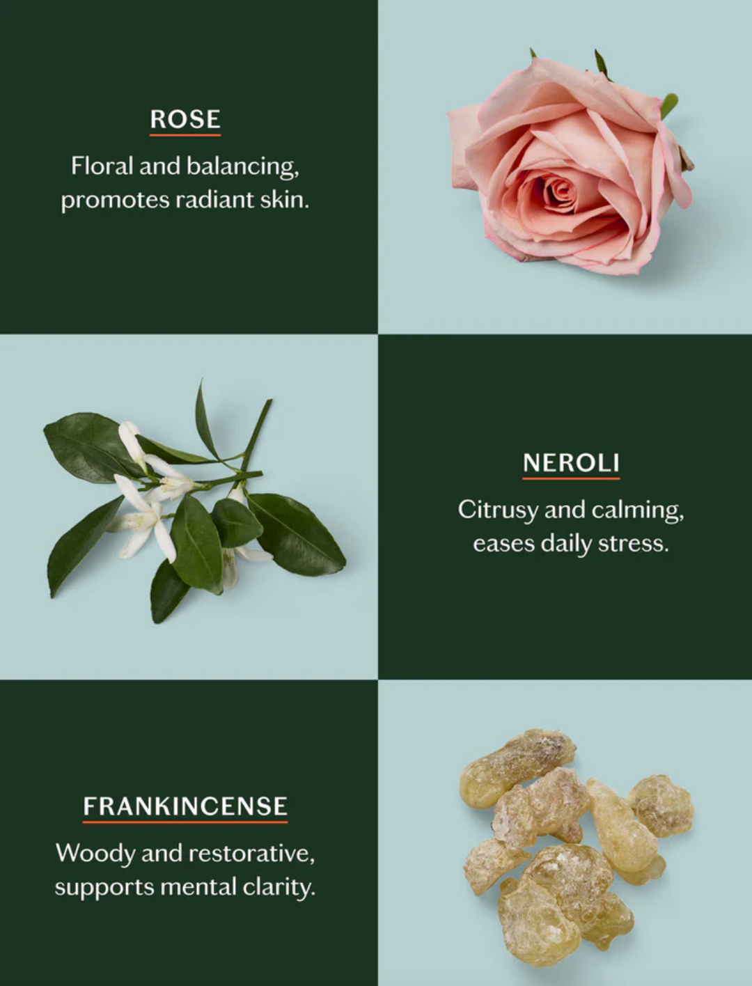 Daily Stone | Deep Moisturizing Lotion Bar- Starter Kit