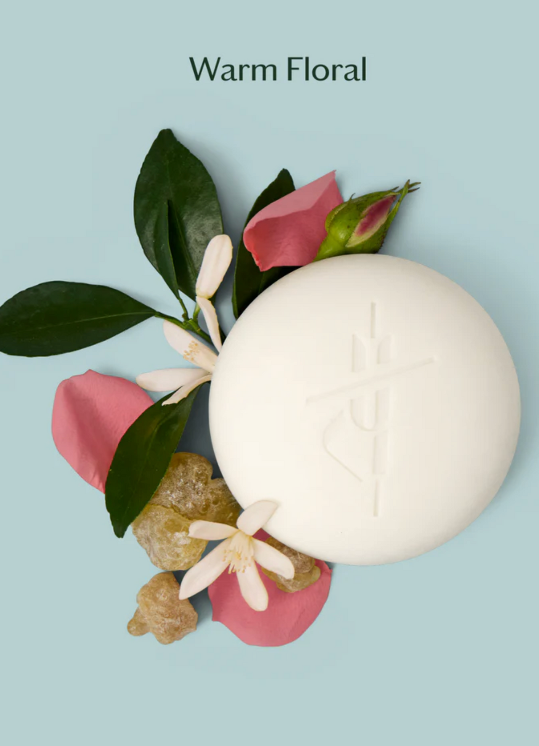 Daily Stone | Deep Moisturizing Lotion Bar Refill