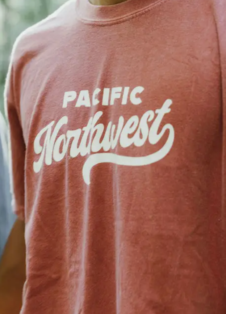 Westy T-shirt- Brick