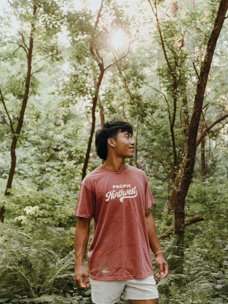 Westy T-shirt- Brick