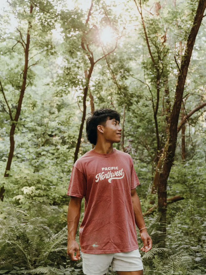 Westy T-shirt- Brick