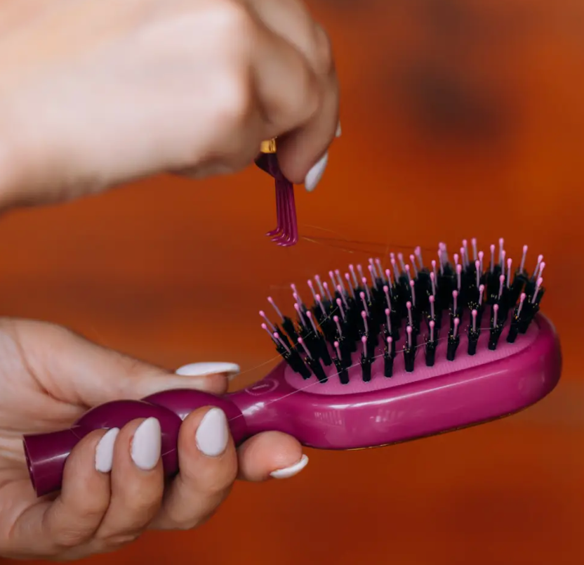Boar Bristle Brush | Mulberry | Mini