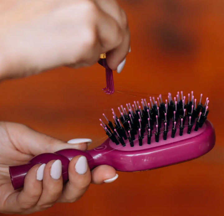 Boar Bristle Brush | Mulberry | Mini