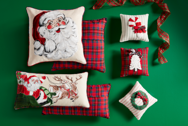 Sleigh Xmas Painted Pillow