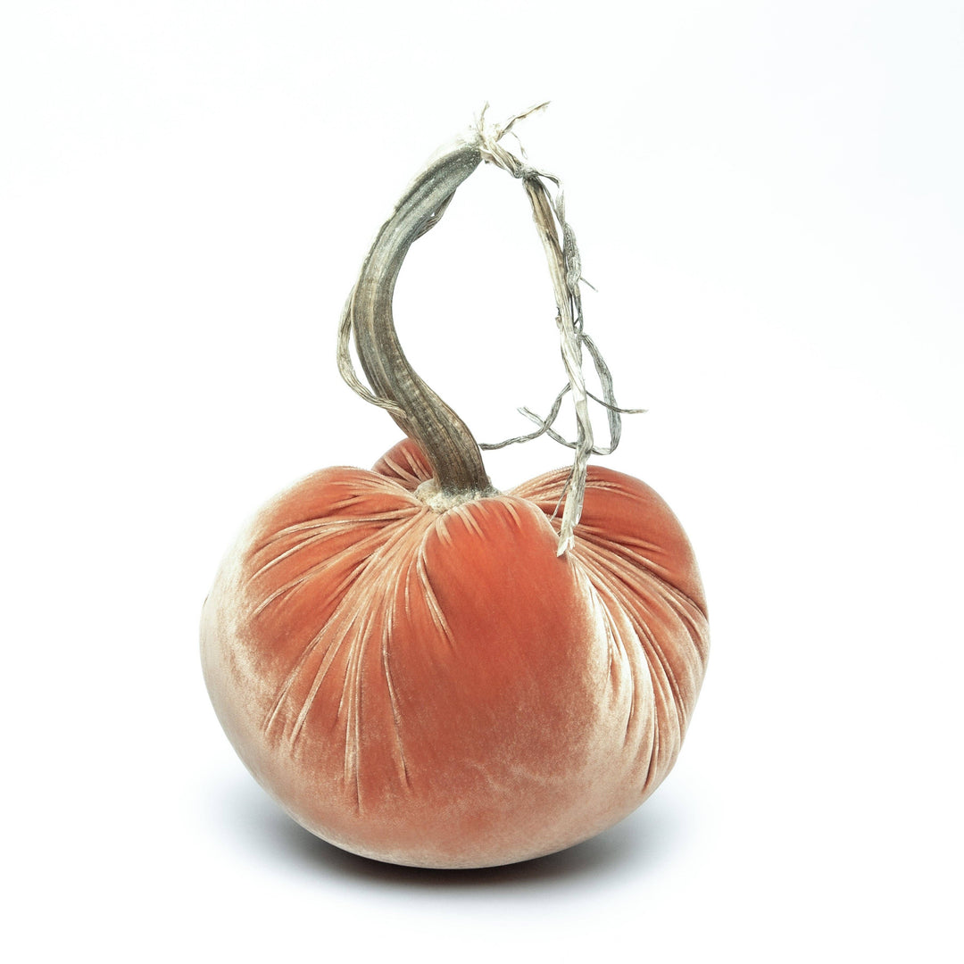 Hot Skwash Spice Silk Velvet Pumpkin
