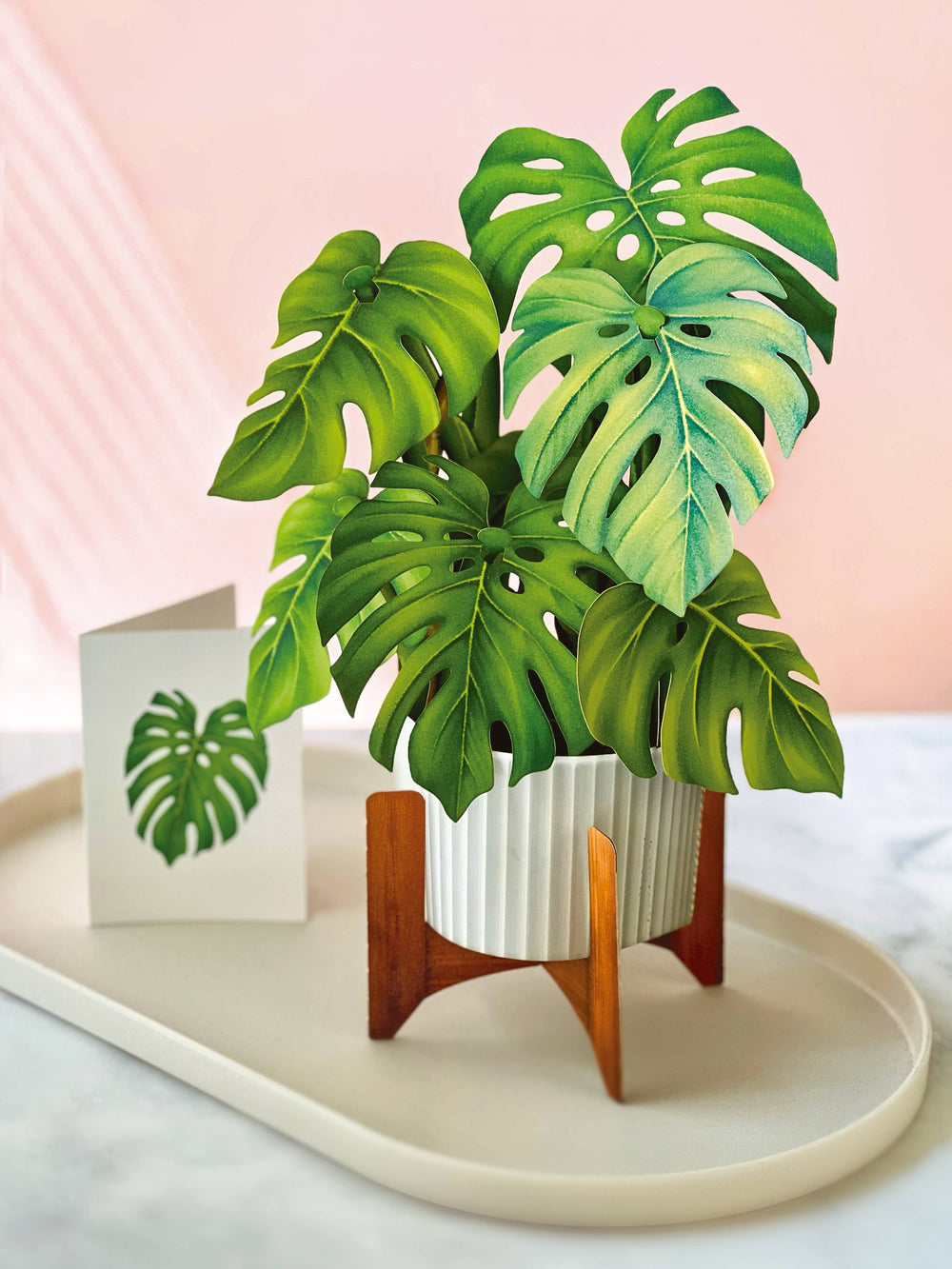 Monstera Plant Pop-up Greeting Card - Pine & Moss