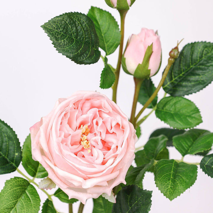 3-Head Real touch English Austin Cabbage Rose Stem: 30"-Rosegold Pink