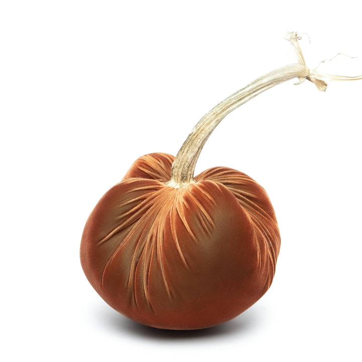 Hot Skwash Sandgreen Silk Velvet Pumpkin