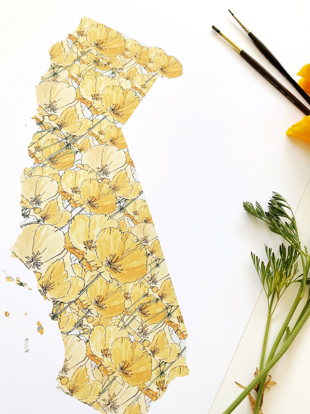 California State Flower Map - ART PRINT   : Watercolor / 8" x 10"
