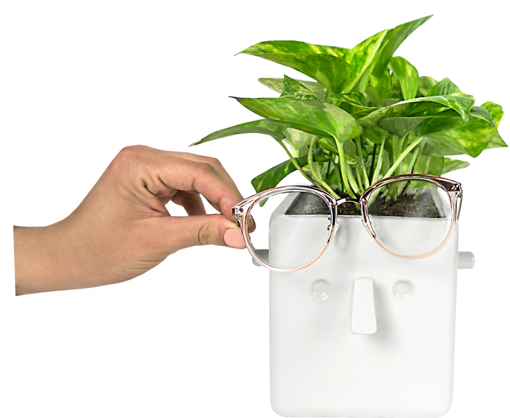 Face Plant Planter for your Plant and Glasses