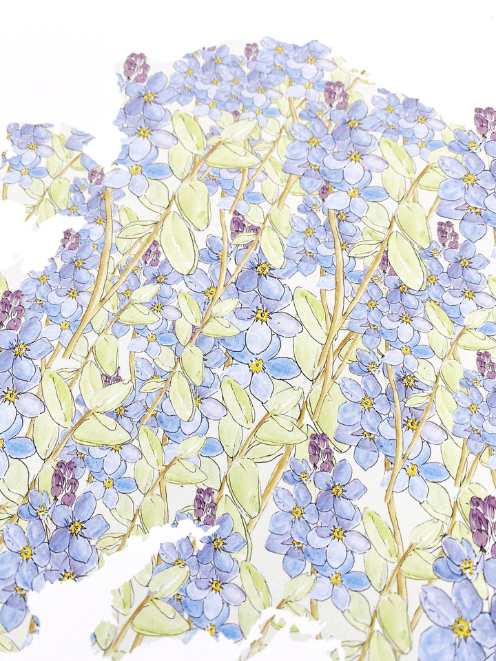 Alaska State Flower Map - ART PRINT : Watercolor / 8" x 10"