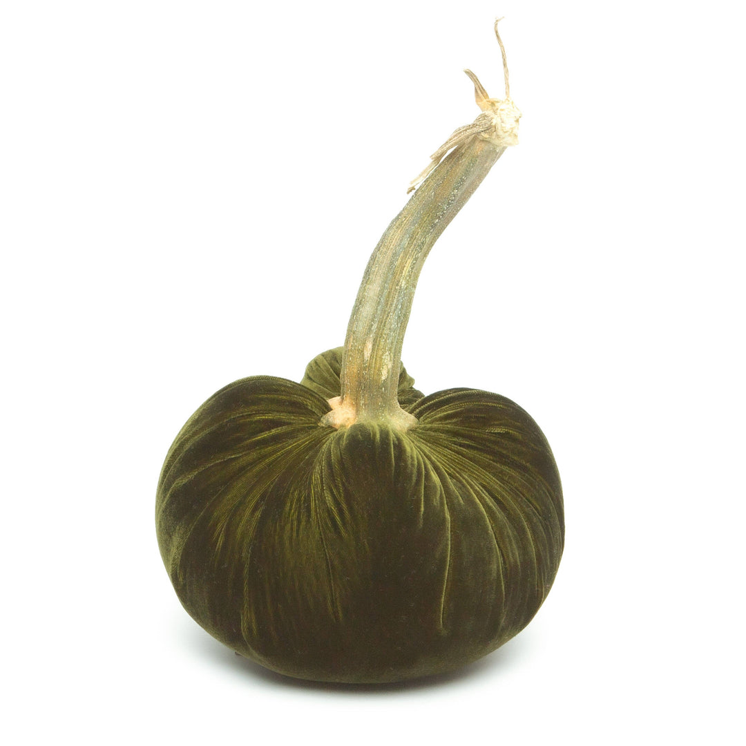 Hot Skwash Moss Silk Velvet Pumpkin