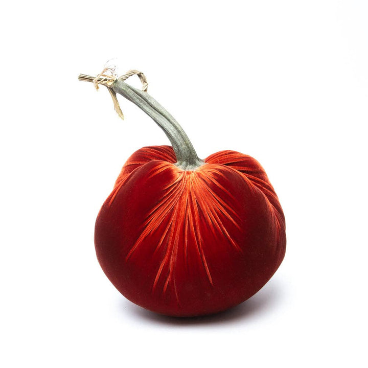 Hot Skwash Rust Silk Velvet Pumpkin