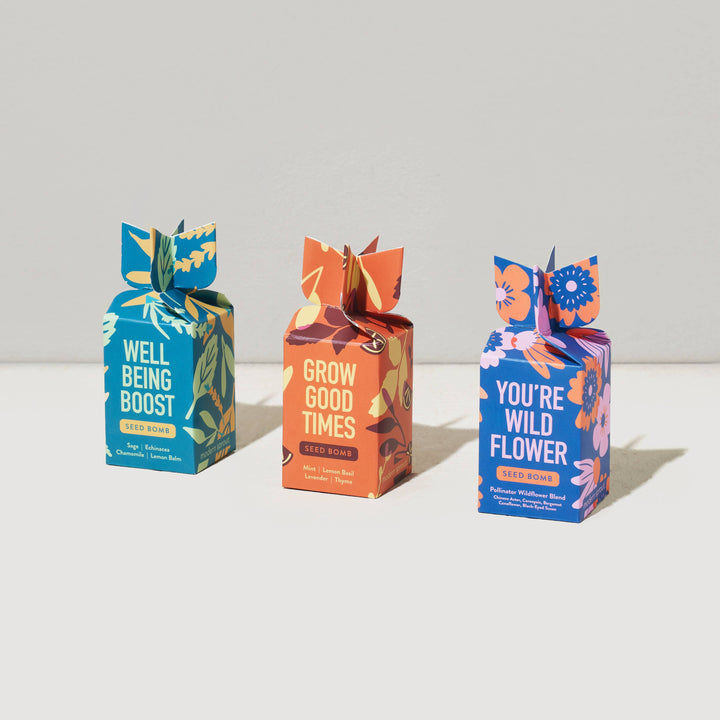 Seed Bomb : Well Being Boost