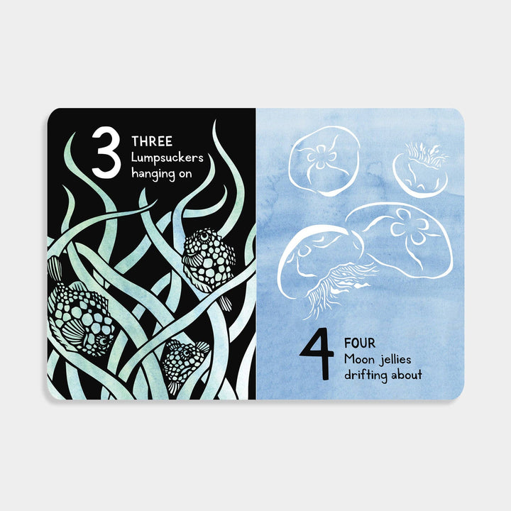 1,2,3 Salish Sea: A Counting Book for Toddlers
