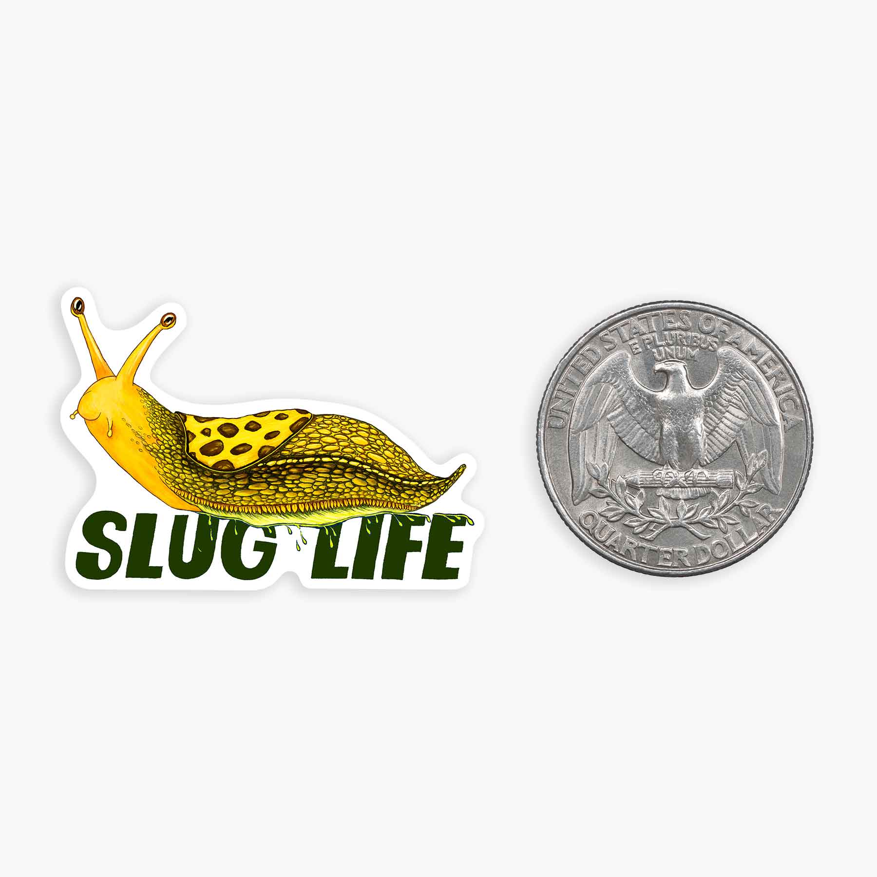 Slug Life - Mini Sticker – Pine & Moss