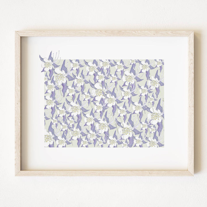 Colorado State Flower Map - ART PRINT  : Watercolor / 8" x 10"
