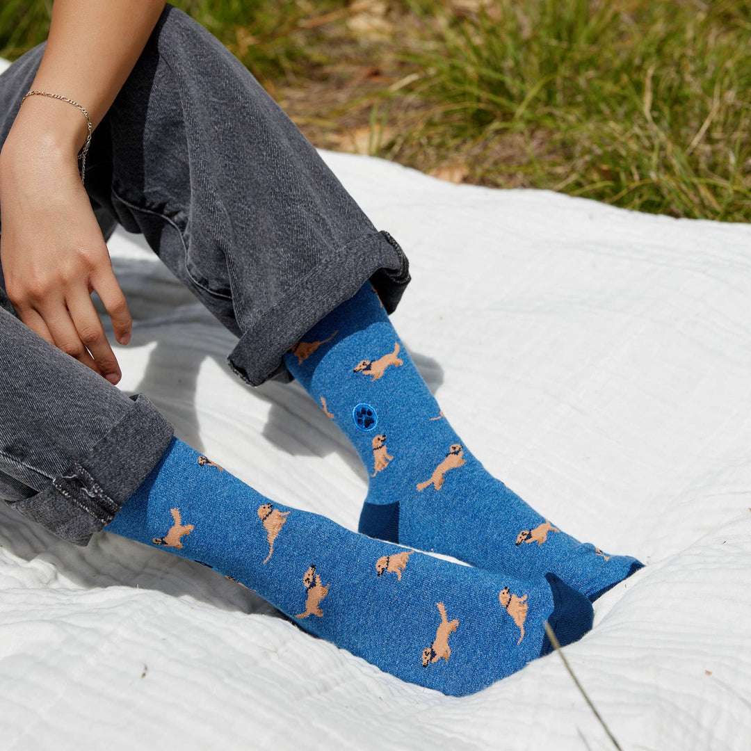 Conscious Step:Socks that Save Dogs (Blue Golden Retrievers): Small