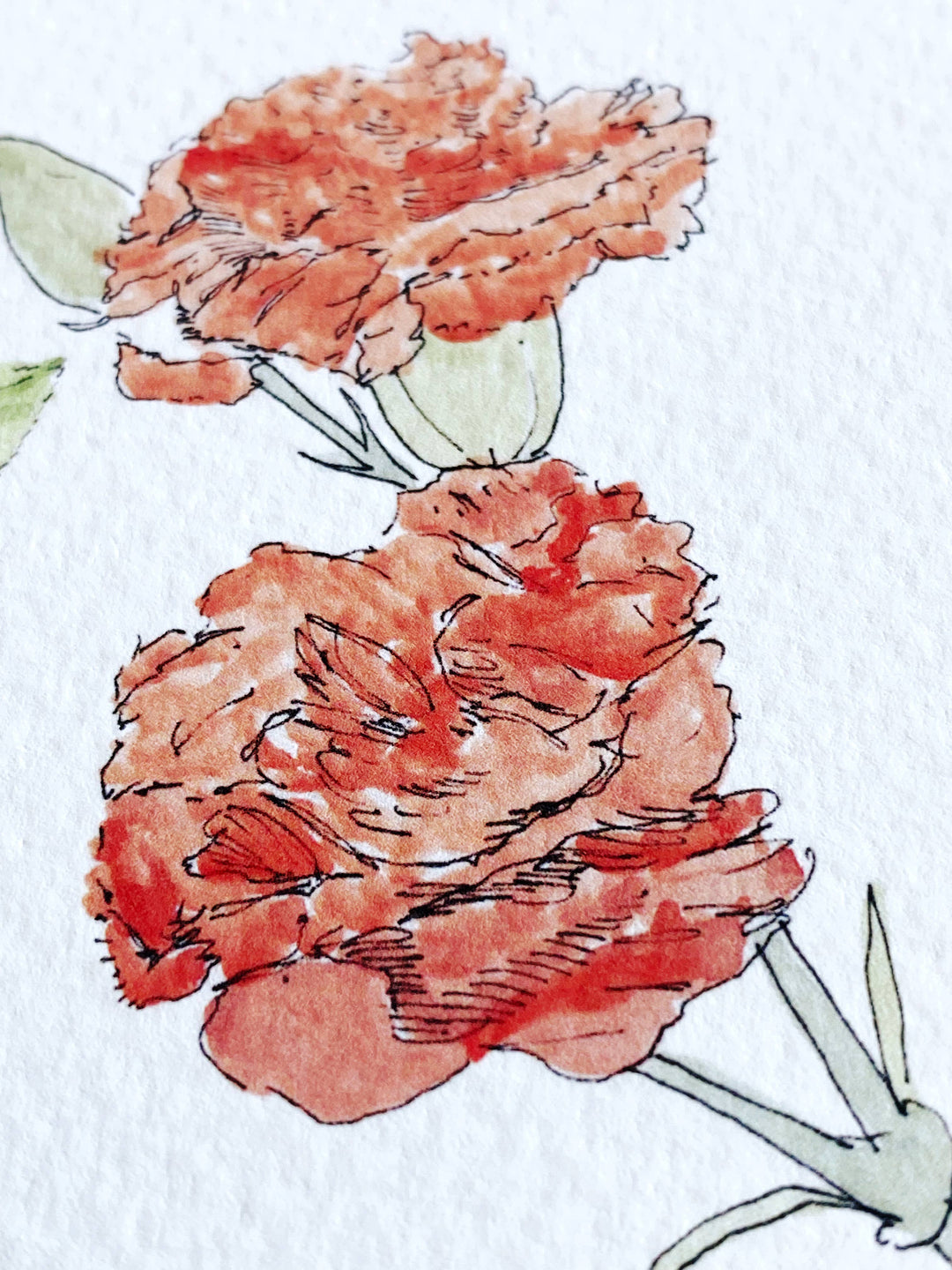 Ohio State Flower Map - ART PRINT  : Watercolor / 8" x 10"