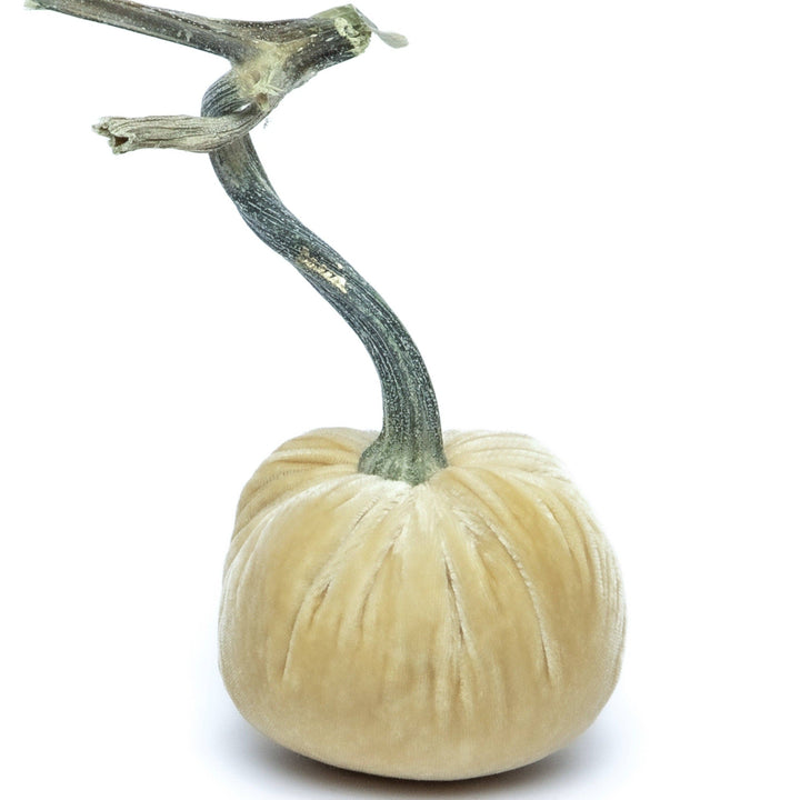 Hot Skwash Husk Silk Velvet Pumpkin