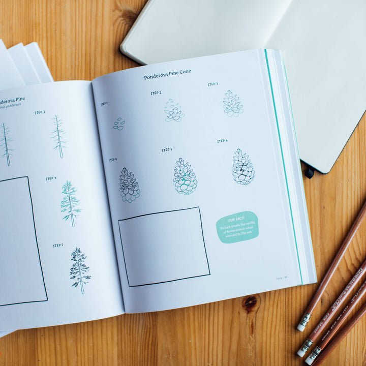 Pacific Northwest Line Drawing-How to Draw Book