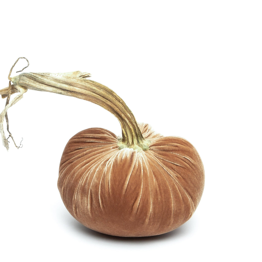 Hot Skwash Latte Silk Velvet Pumpkin