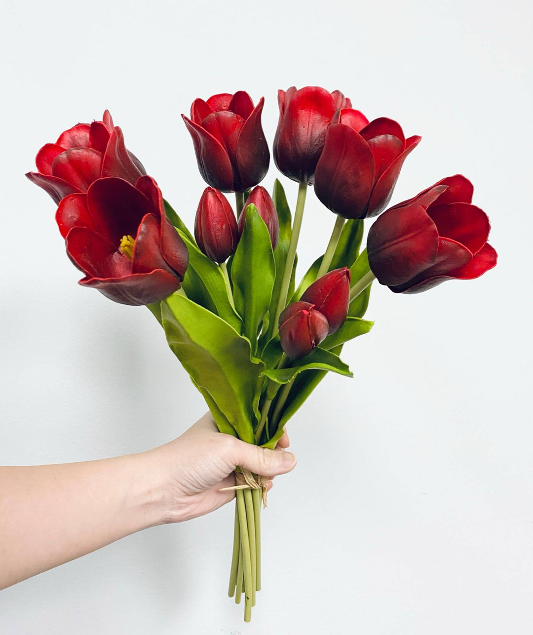 Elegant Holland Tulip Bloom and Buds, Shade of Red- 18” Sold by Individual Stem