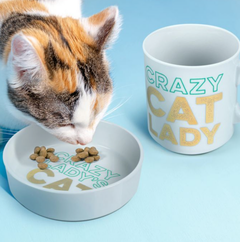 Mug & Cat Bowl, Crazy Cat - Pine & Moss