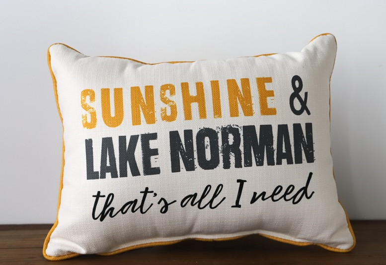Sunshine & Lake Water Pillow
