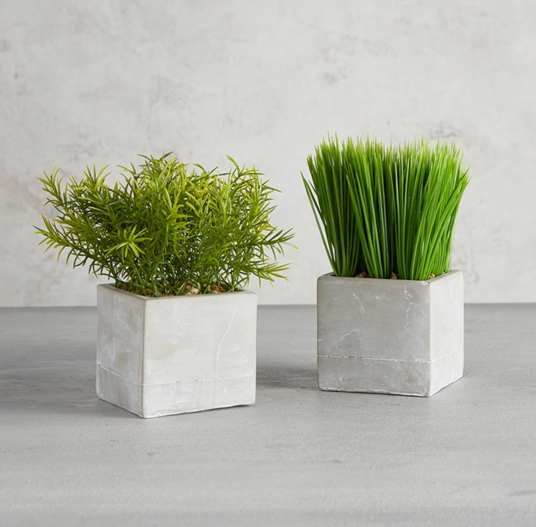 Cement Planter with Greenery - Pine & Moss