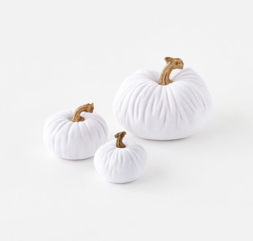 Flocked Porcelain Pumpkins- 3 Sizes - Pine & Moss