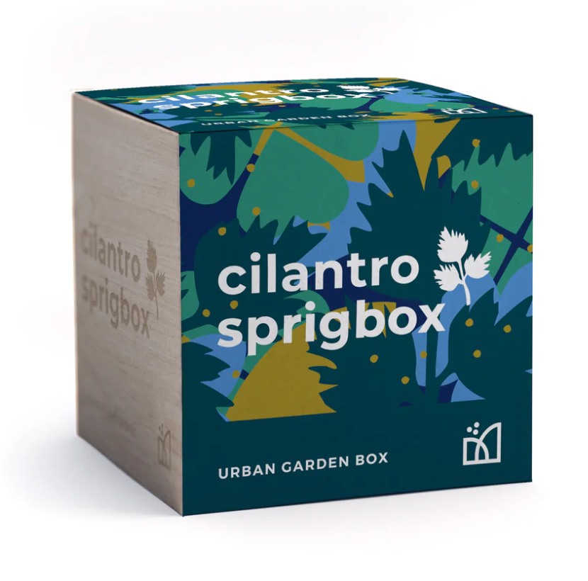 Cilantro Sprigbox - Pine & Moss