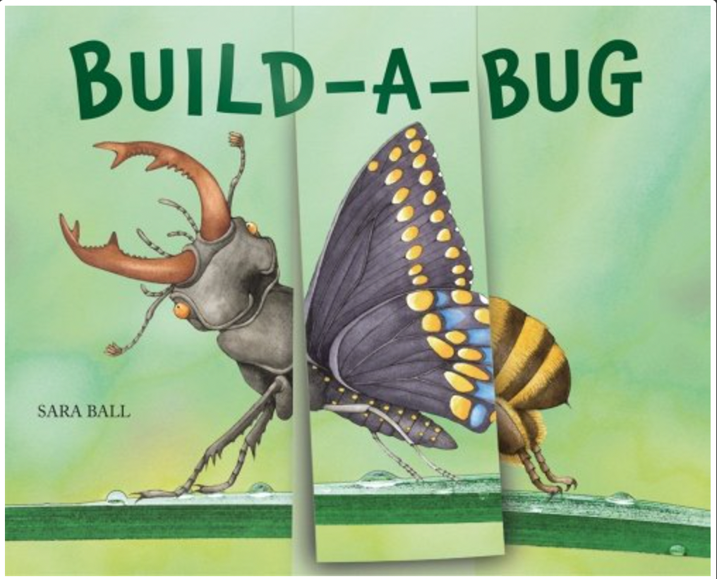 Build-A-Bug Book - Pine & Moss