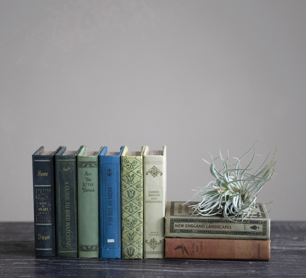 Book Storage Box - Pine & Moss