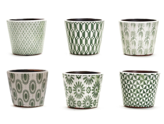 Arta Verde Terracotta Pot - 6 Designs - Pine & Moss