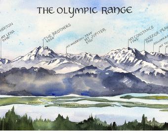 The Olympic Range Water Color by Elizabeth Person